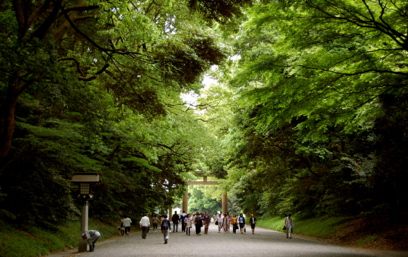 Rừng thiêng của đền Meiji Jingu, Tokyo